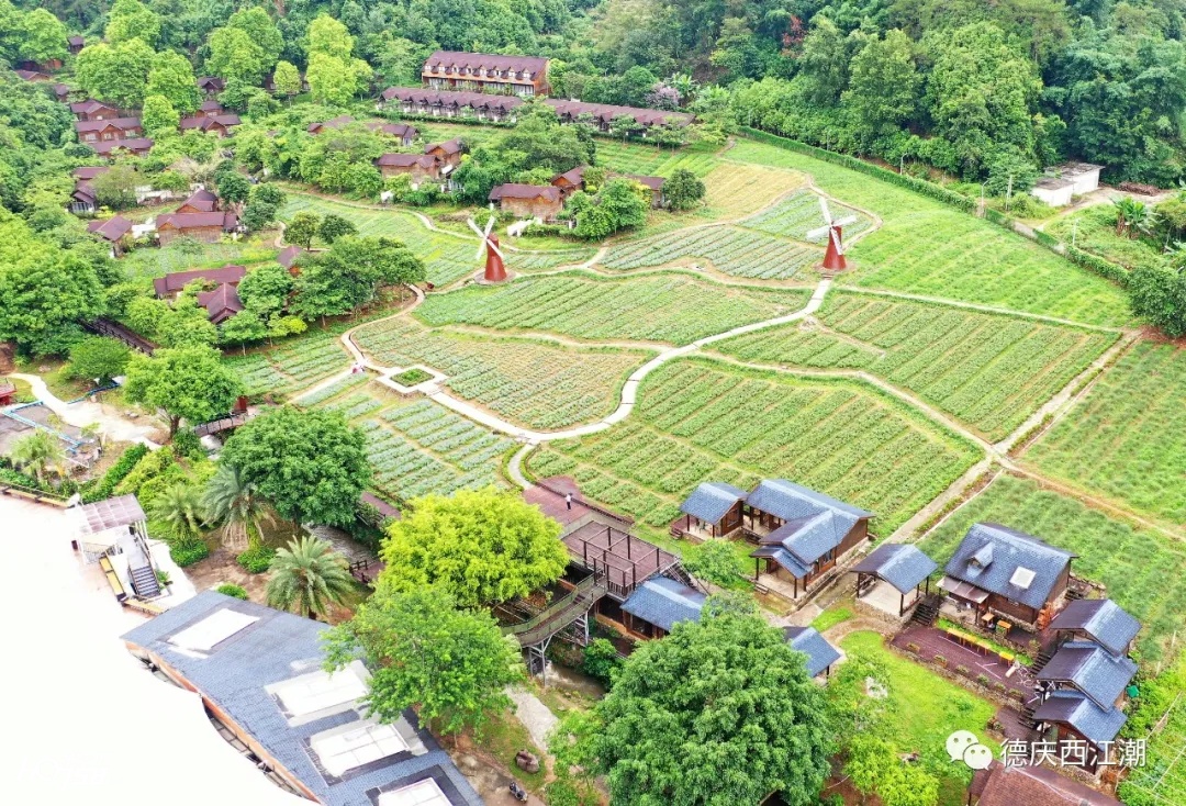 德庆盘龙峡最新视频,德庆县盘龙峡全景图