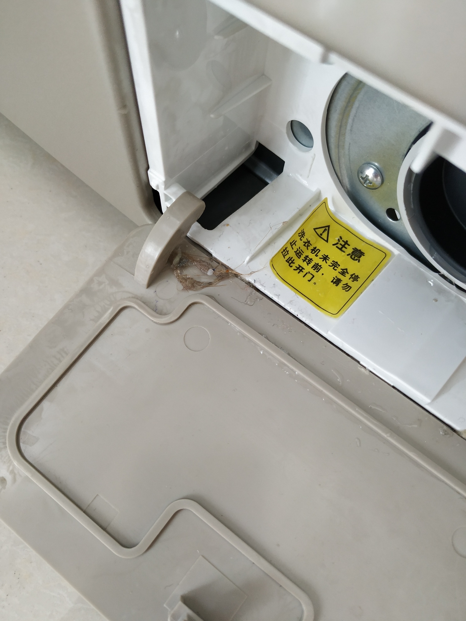 求购一台小天鹅洗衣机,购买洗衣机样机可以吗