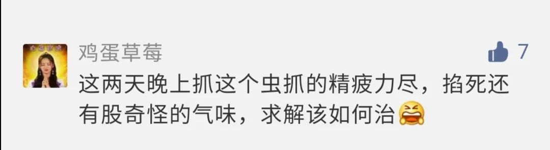 虫子入侵,外星怪虫入侵