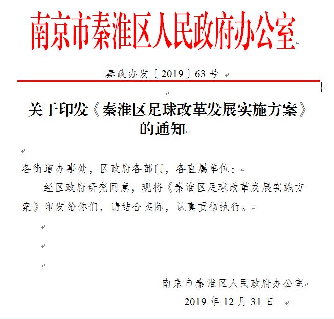 足球体育改革,体育专业协会成立