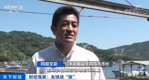 每公斤0.65元！这种日料店常见的鱼价格暴跌！吃货们急了