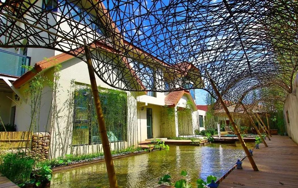 宫崎骏眼中的夏天图片,宫崎骏眼里的夏天滤镜