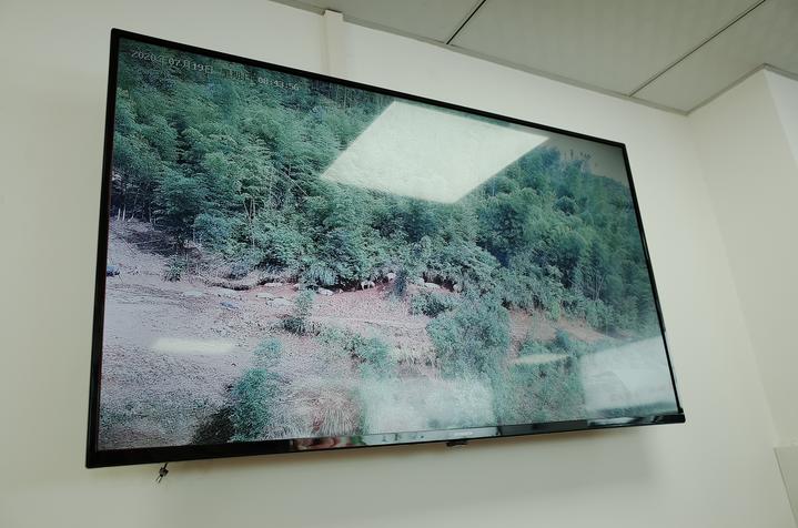 一天只卖一头猪卖完就下班,一天只卖一头猪