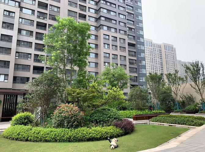 河西南哪个小区值得购买,河西南最新成交价