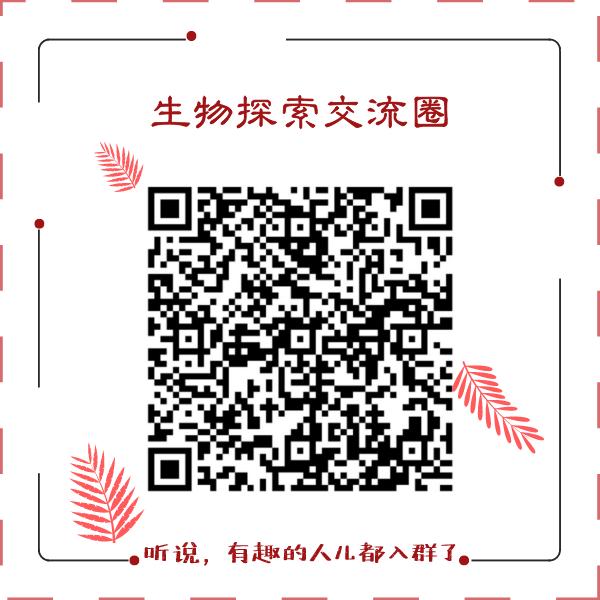 秃头少年有救了胎毛刘海,秃头少年竟然长出了头发