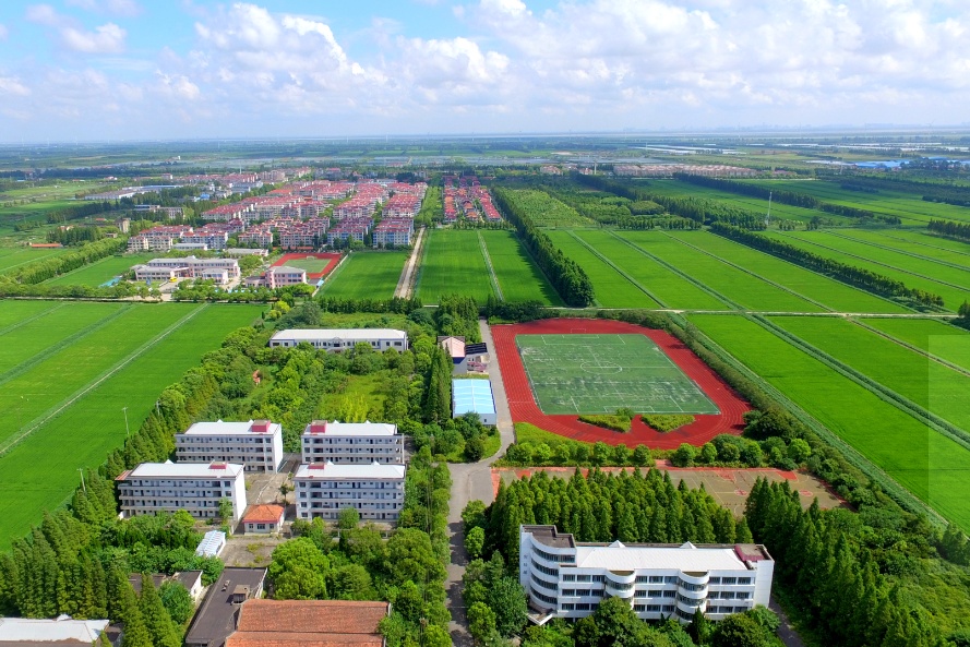 这个因“花博会”而即将腾飞的小镇，你了解吗？