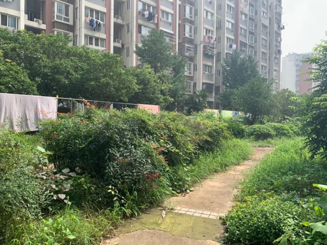 南京成交量上涨的楼盘,南京楼市成交量回升明显