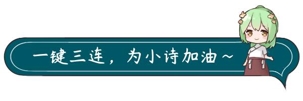 在华师可以学什么,在华东师大读书的体验