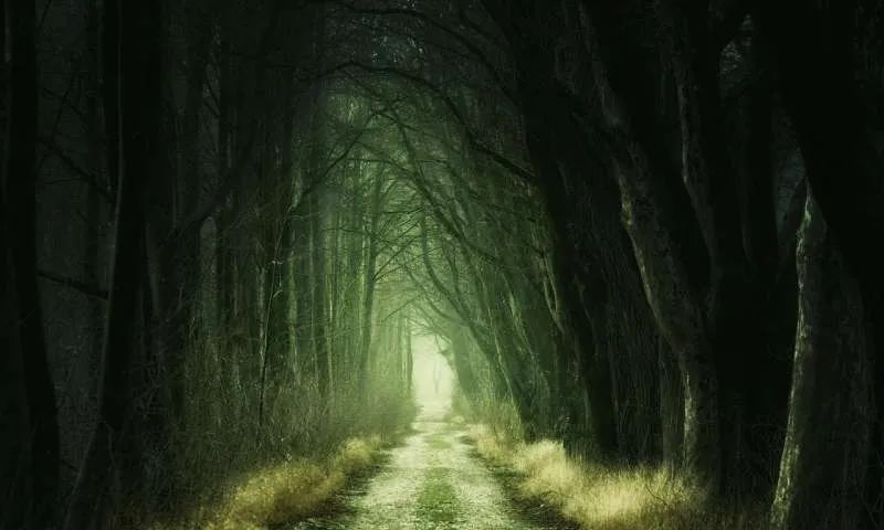 “密恐”、强迫症有治了！科学家开发出非侵入性疗法，可直接修改记忆、删除恐惧