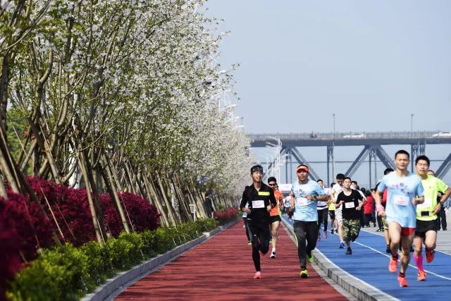 从标准堤塘到“最美跑道”,它是如何成为城市“网红”的?丨30年30问⑥⑦