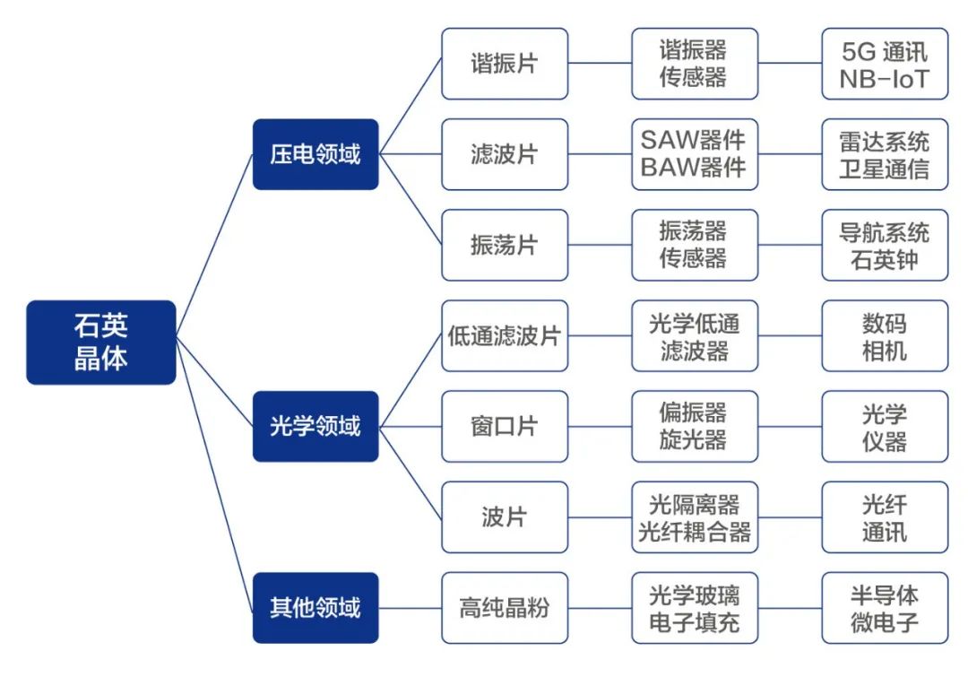 小料观察神秘生物,小料科普大师