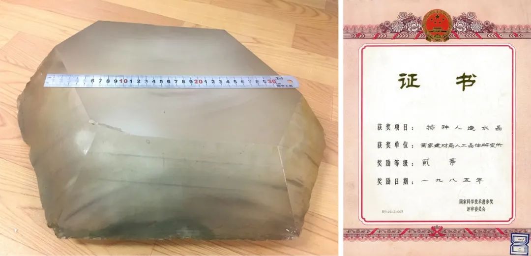 小料观察神秘生物,小料科普大师