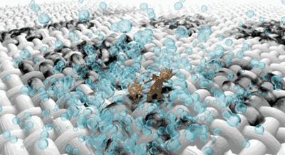 老是感觉身上痒痒的是螨虫吗,总觉得身上痒有虫子爬怎么回事