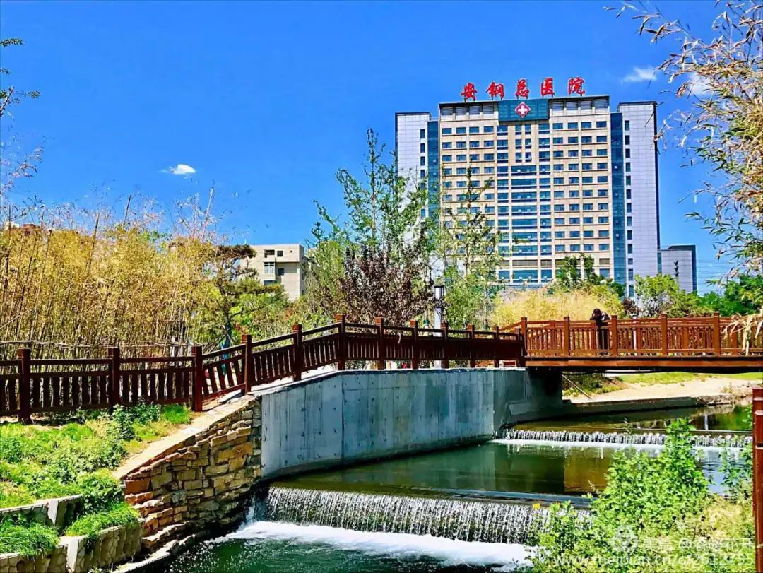 安钢职工总医院,安阳县总医院招聘