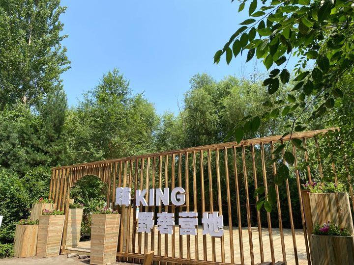 简直认不出这是哈尔滨！三种姿势，别样过夏天