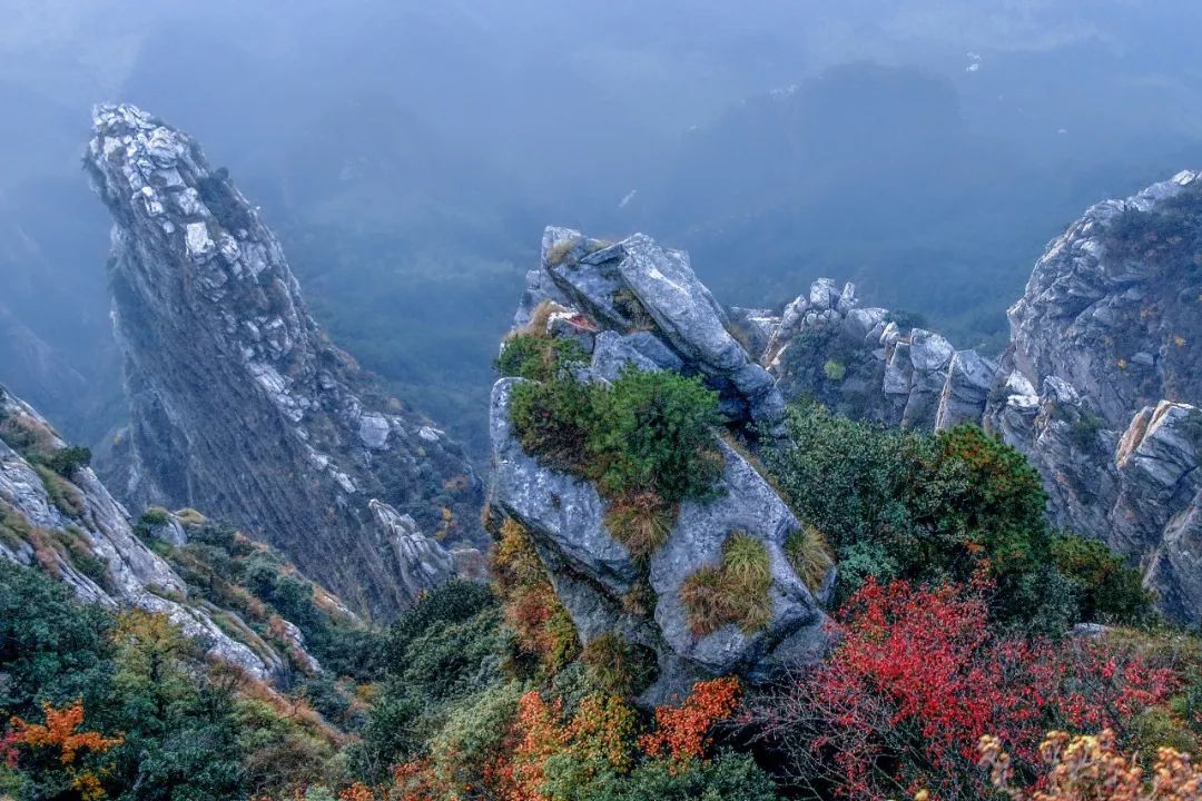 庐山真面目怎么辨别,庐山真面目近义词