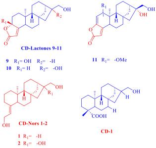 云南咖啡品质如何,云南咖啡味道独特的原因