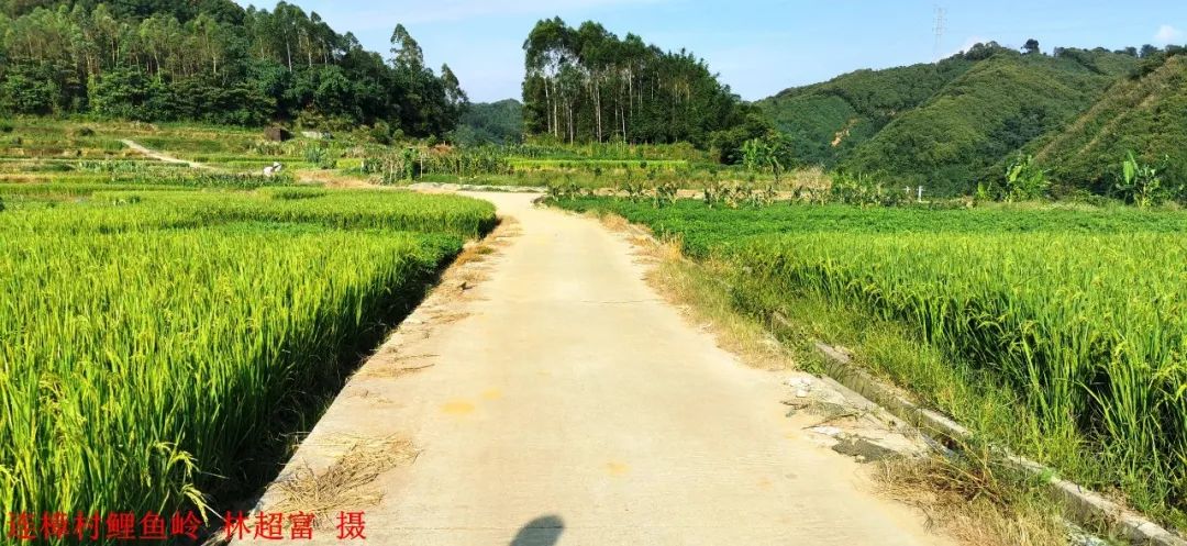 英德市连口镇连樟村,连樟村旅游景点