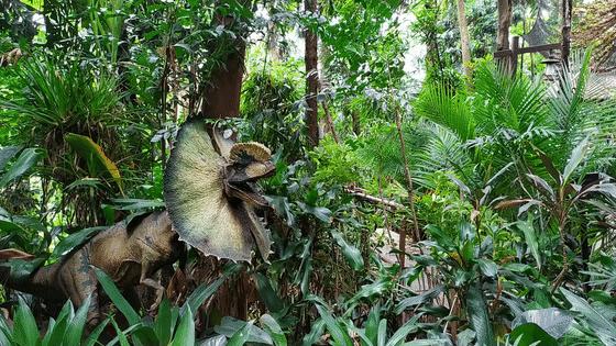 长隆乐园欢乐世界,广州长隆游玩注意事项