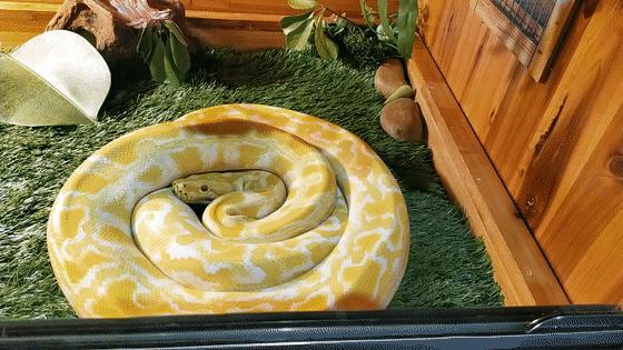 长隆乐园欢乐世界,广州长隆游玩注意事项