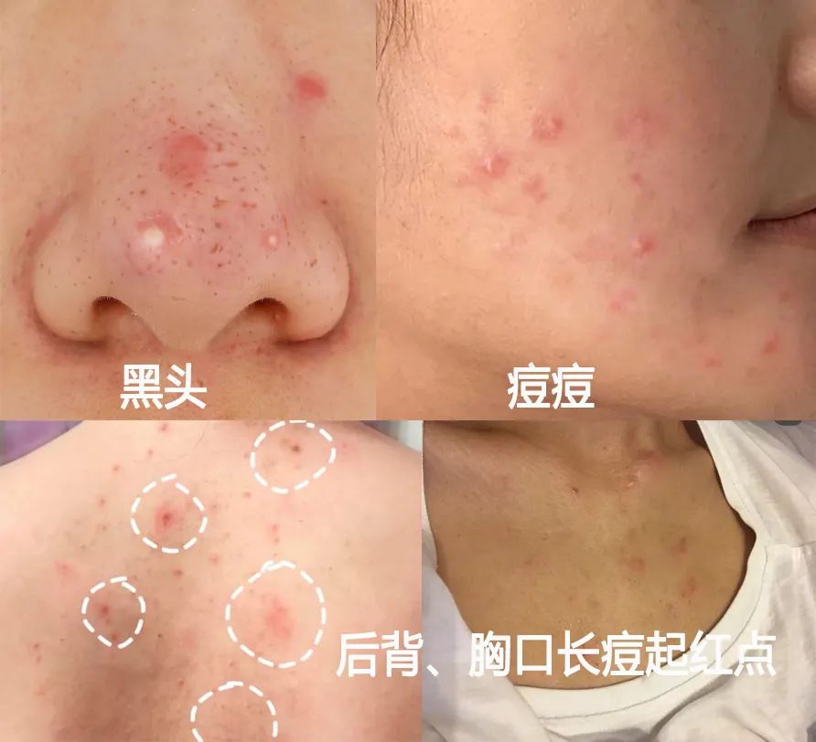 和猫咪接吻会怎么样,猫咪被亲了瞬间感觉不干净了