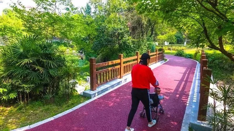 成都景点60岁以上免费门票,成都免费游玩景点推荐