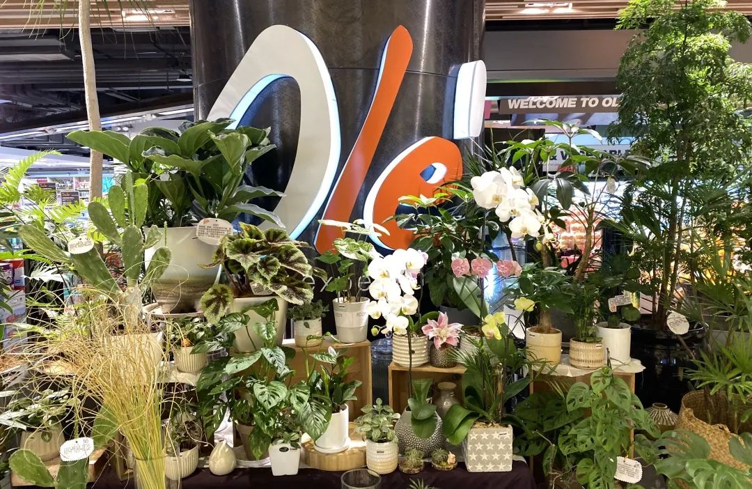 北京进口超市购物攻略,北京顶级的进口超市