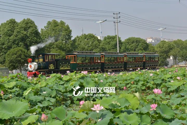 义乌最漂亮的风景,义乌周边哪个风景好一点