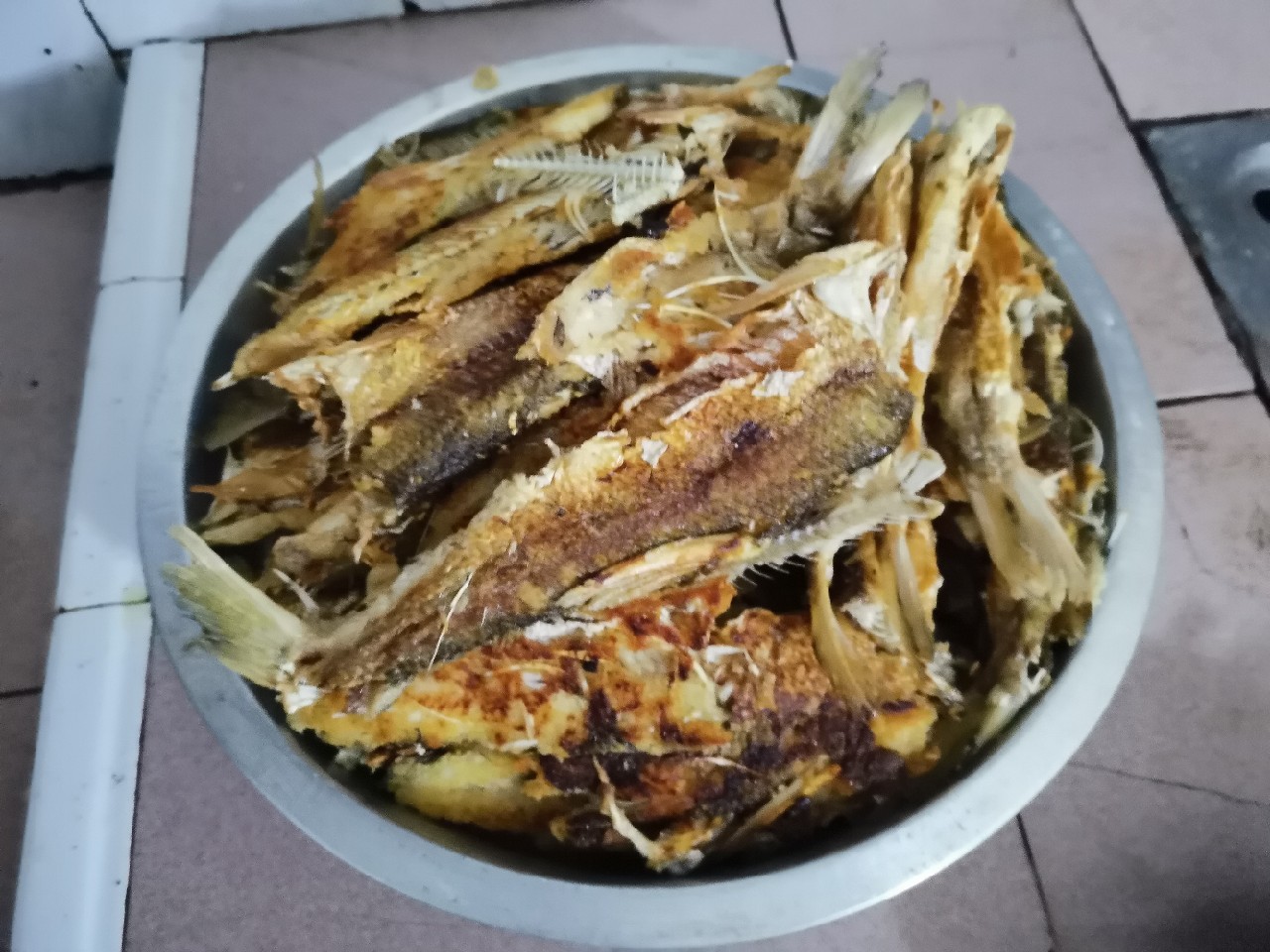 桂江野钓土鲮,广西桂江土鲮