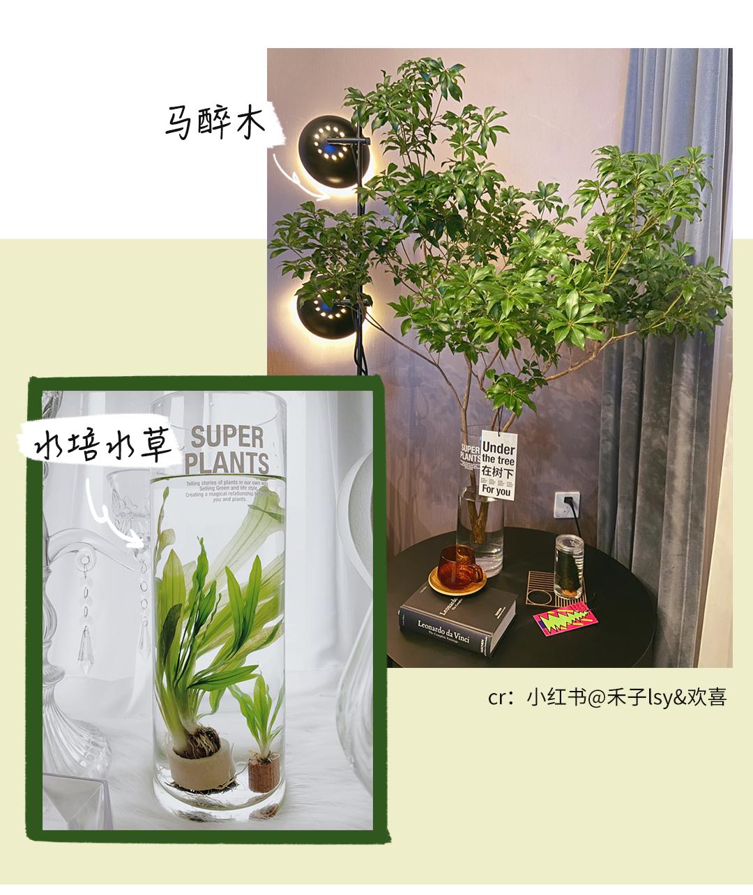 淘宝收藏过的店铺,淘宝以前收藏的店铺