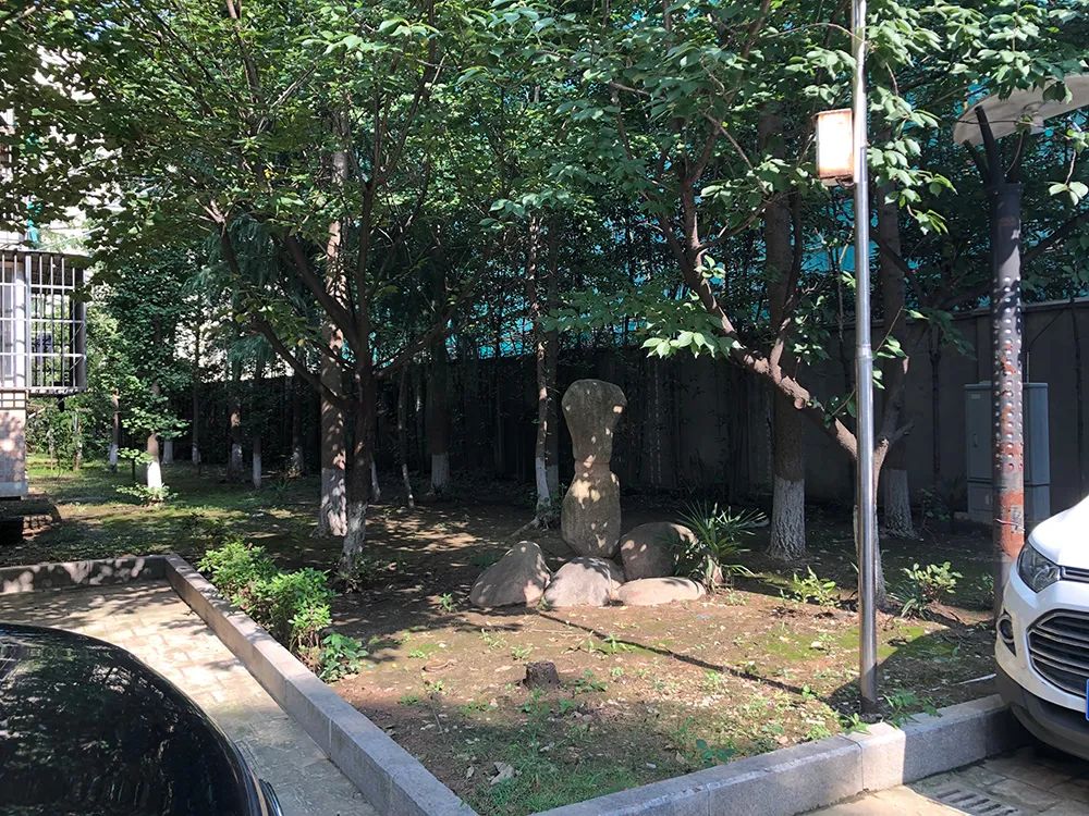 惊！南京三线“草小”成功逆袭，业主膨胀却不被认可，真相...