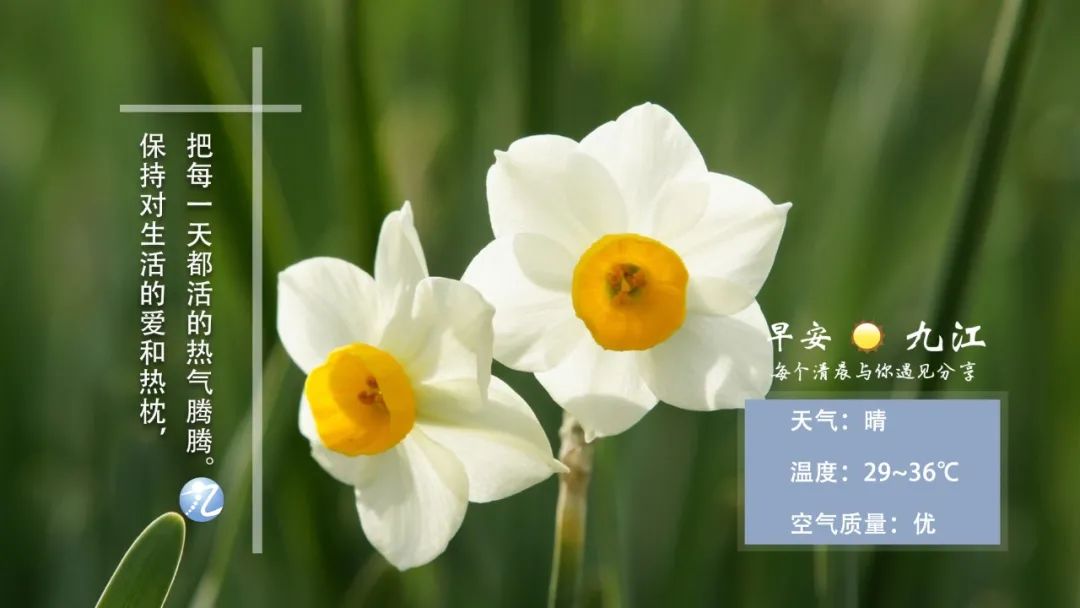 来了，九江新闻早班车||微商已经开卖新冠疫苗？假的，别信