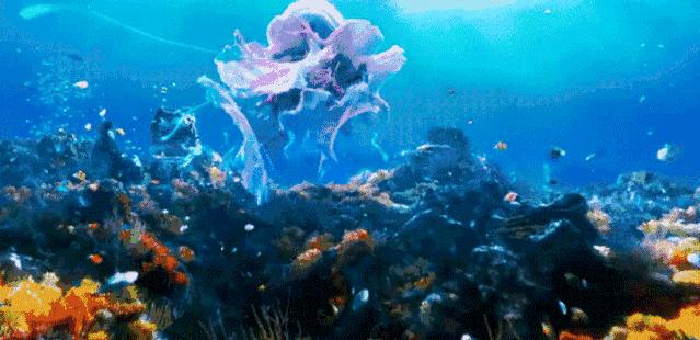 海洋护肤成分,深海植物护肤精粹