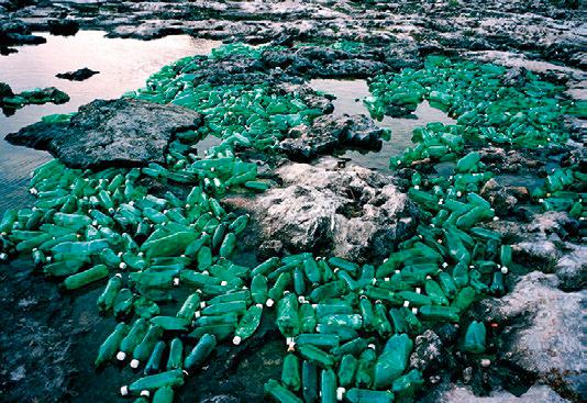 海洋里面有什么护肤成分,海洋护肤成分有哪些