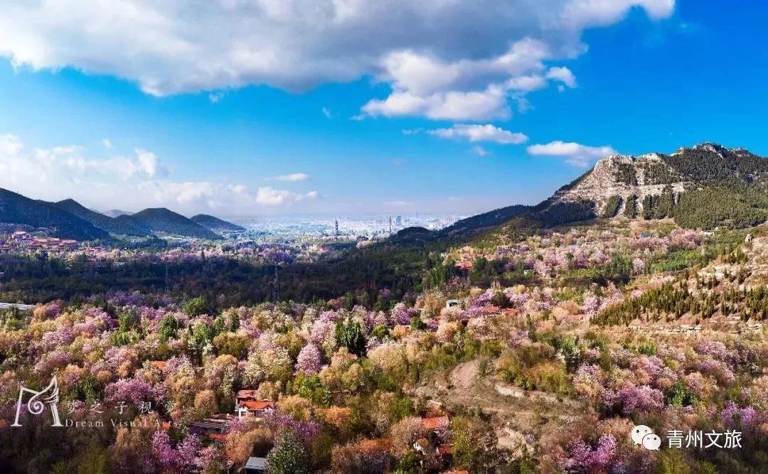 李清照在青州的时光,李清照笔下的青州