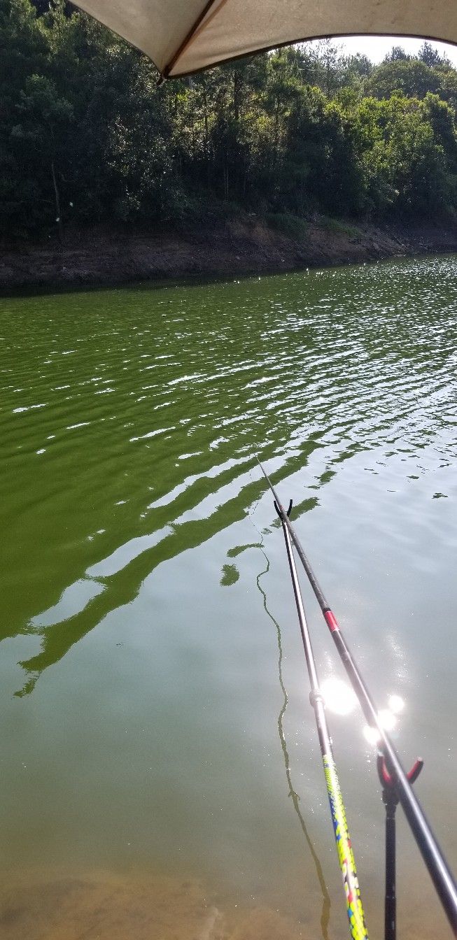 鱼没钓到还把诱饵吃了,鱼没钓到雨还下大了