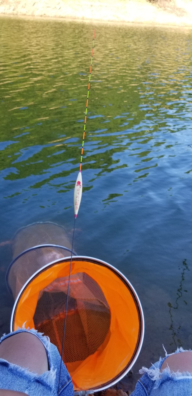 鱼没钓到还把诱饵吃了,鱼没钓到雨还下大了
