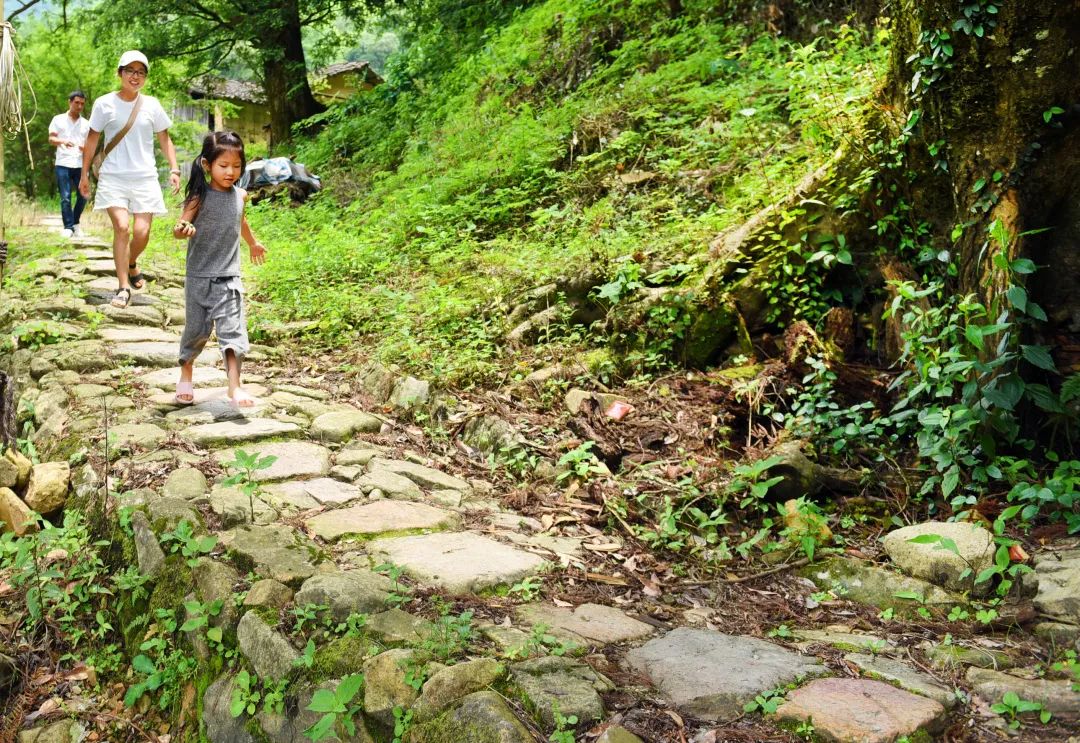 浦城哪里好玩的地方推荐,浦城户外好去处