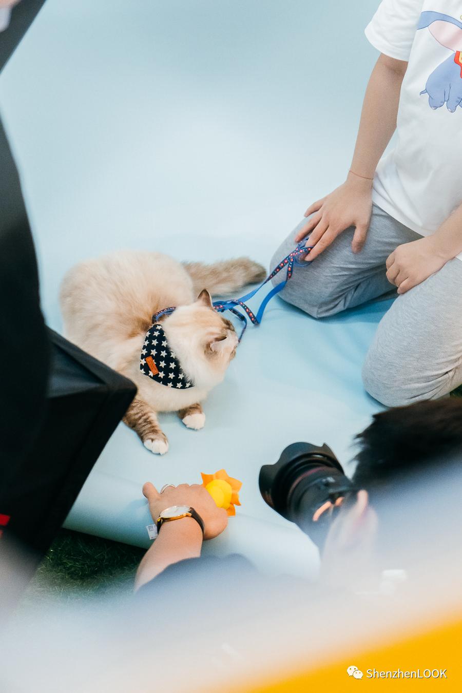 LOOK|海岸城更新·「宠物Mall」限时开放