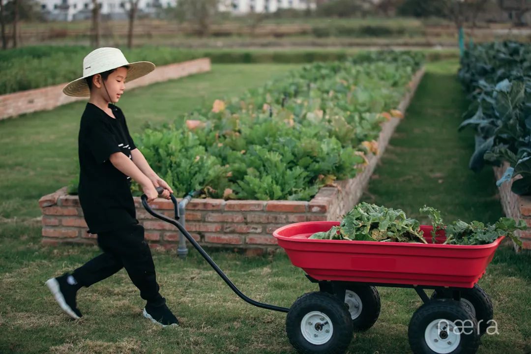西塘游玩推荐的酒店,西塘古镇风景最好的酒店