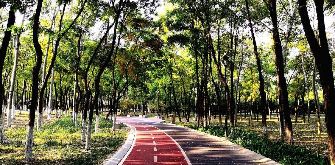 亦庄必打卡,亦庄拍照打卡好看的店