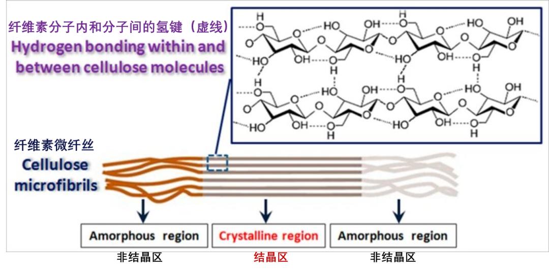 衣服总是皱巴巴的,衣服为啥老是很皱发黄