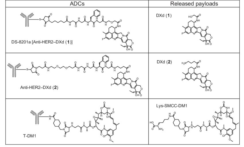 乳腺癌的最新治疗新药,乳腺癌防复发目前有什么新药