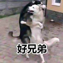 古代汉字被现代人误解,25个常说不一定认识的汉字