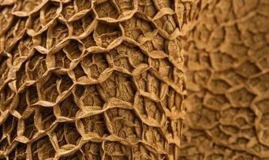 黑科技可拍照,黑科技拍照真实图片