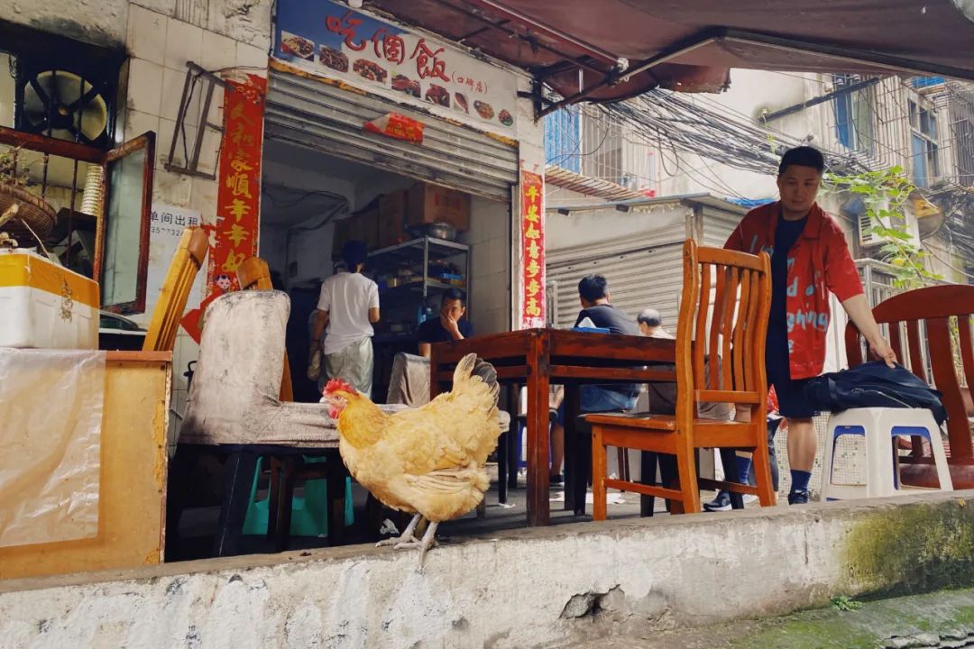 现在买随心飞合适吗,还能买随心飞吗