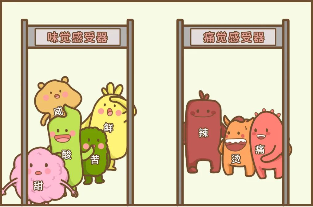 为什么菊花有味道,为什么吃了辣的菊花会火辣辣的