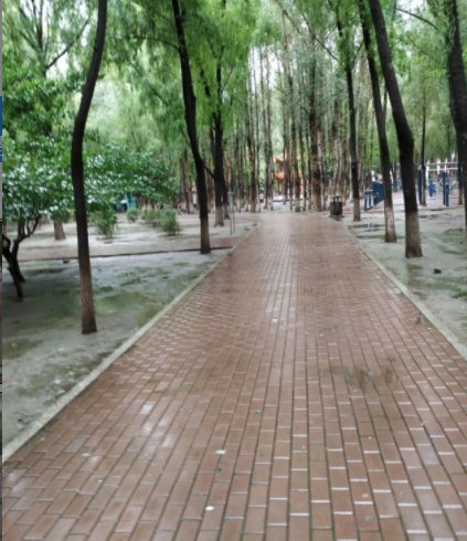 对抗“巴威”，他们竟然“拴”大树、电梯停运、连夜清理铁皮