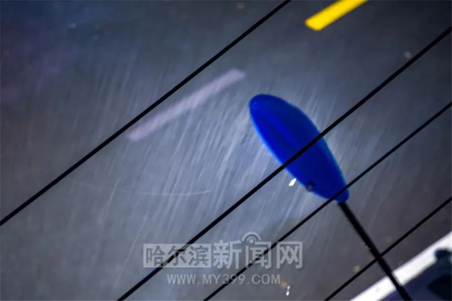 “巴威”到哈即“停编”，但是暴雨没完丨有站点累计降水量超70毫米