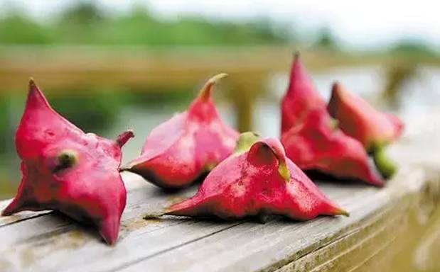 无锡口味独特吗,无锡的味道